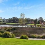 6 Dianella Street, Mount Barker, SA 5251